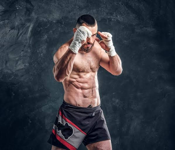 Professional combat sports training